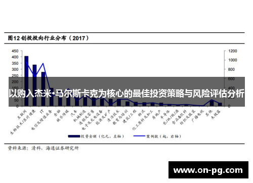 以购入杰米·马尔斯卡克为核心的最佳投资策略与风险评估分析