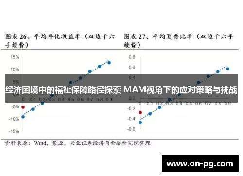 经济困境中的福祉保障路径探索 MAM视角下的应对策略与挑战