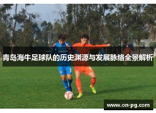 青岛海牛足球队的历史渊源与发展脉络全景解析
