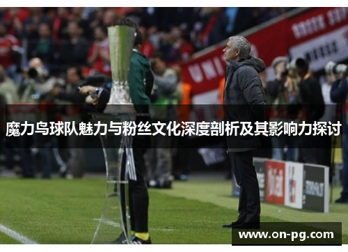 魔力鸟球队魅力与粉丝文化深度剖析及其影响力探讨