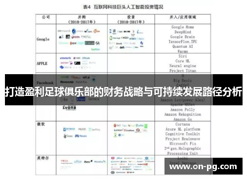 打造盈利足球俱乐部的财务战略与可持续发展路径分析