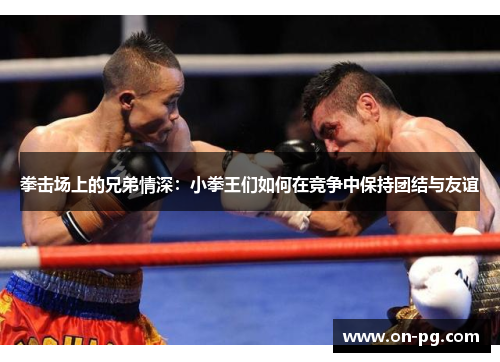 拳击场上的兄弟情深：小拳王们如何在竞争中保持团结与友谊