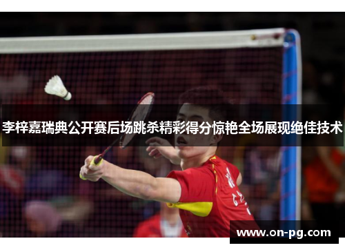 李梓嘉瑞典公开赛后场跳杀精彩得分惊艳全场展现绝佳技术