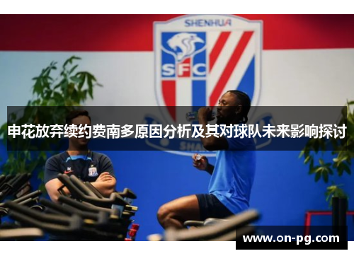 申花放弃续约费南多原因分析及其对球队未来影响探讨